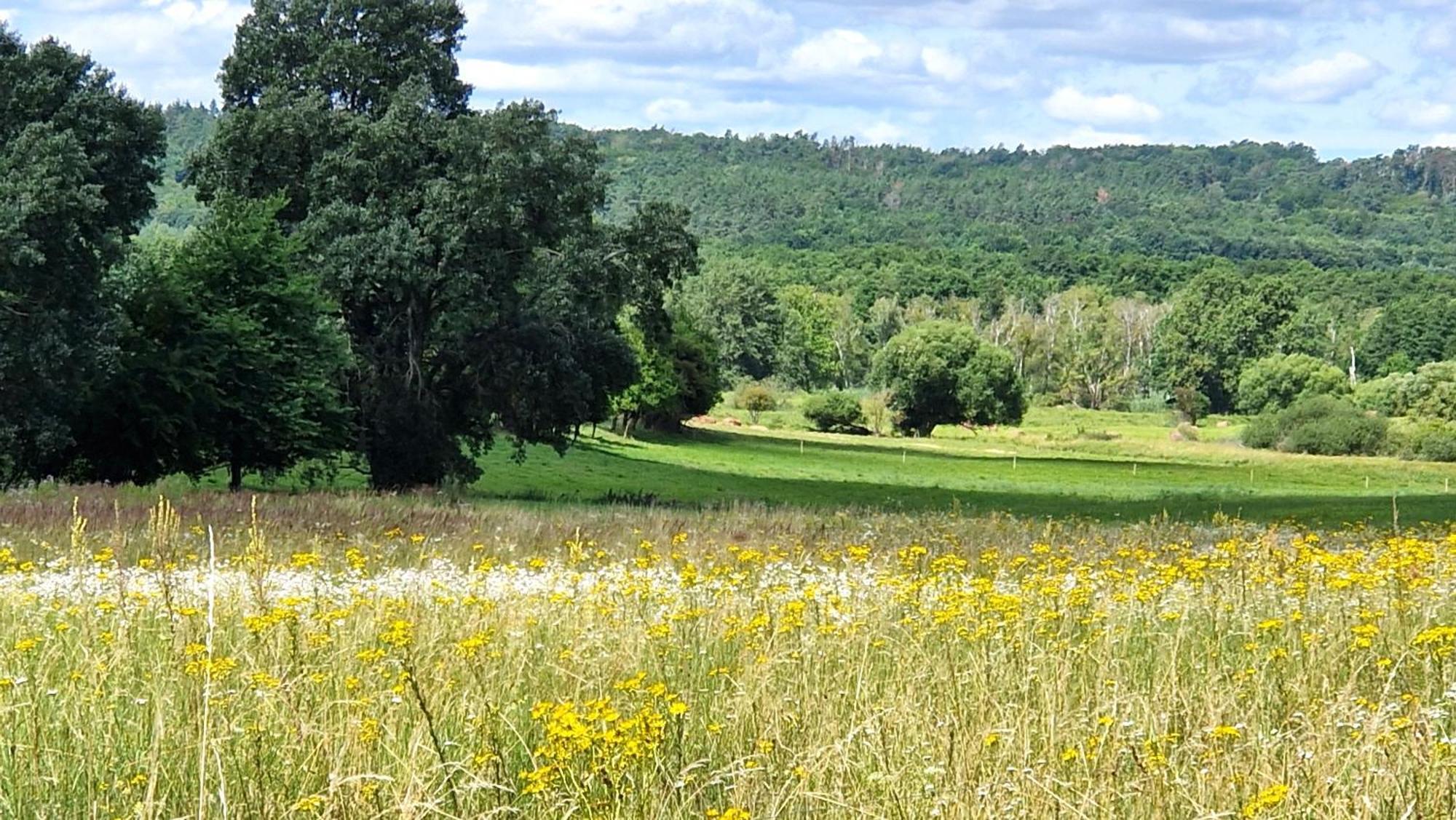 ברלינק Villa Orlik מראה חיצוני תמונה