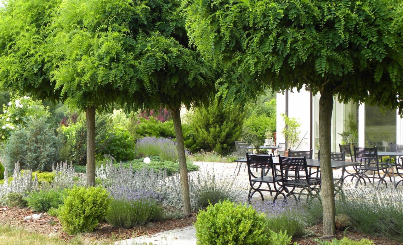 ברלינק Villa Orlik מראה חיצוני תמונה
